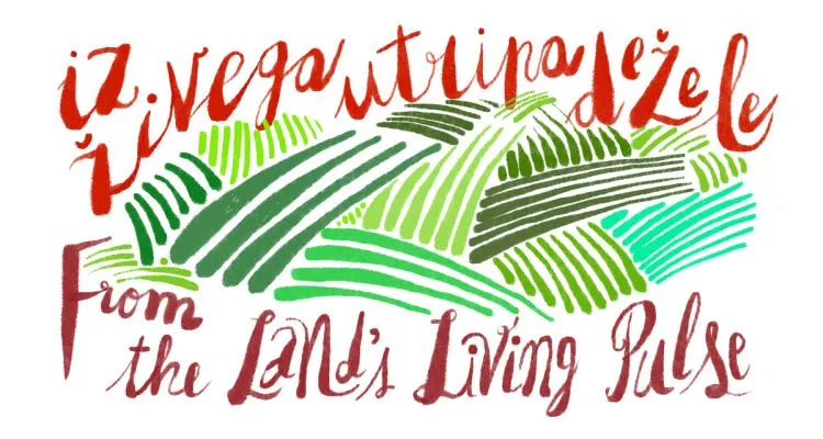 Event cover image