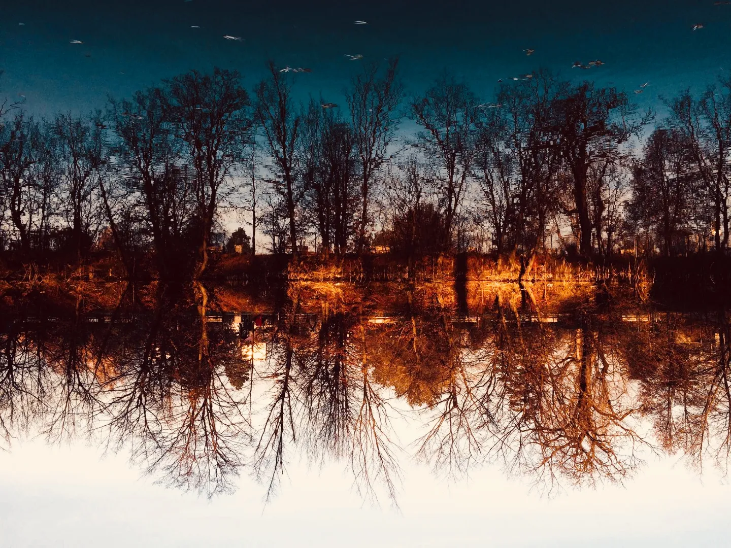 Event cover image