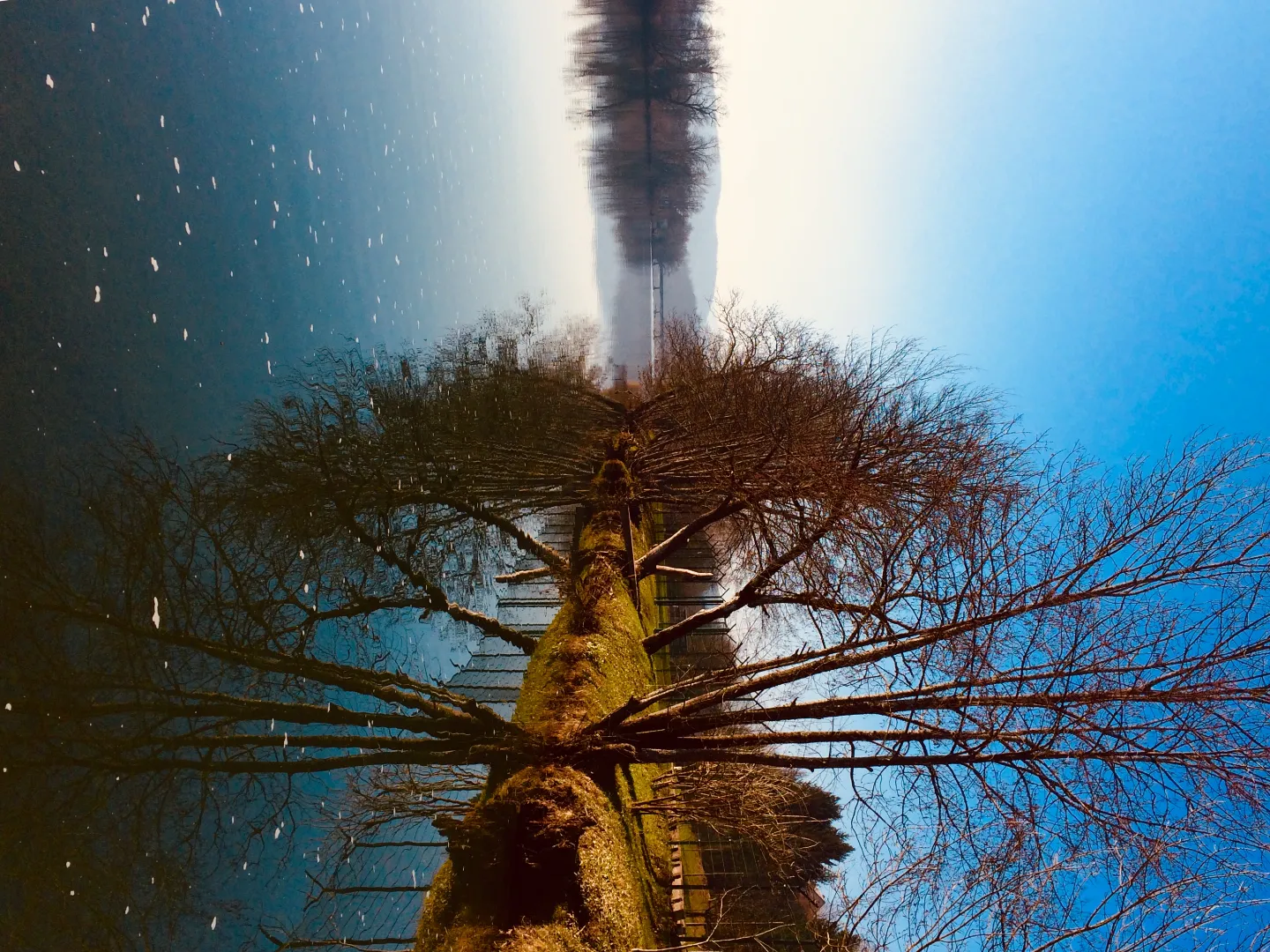 Event cover image