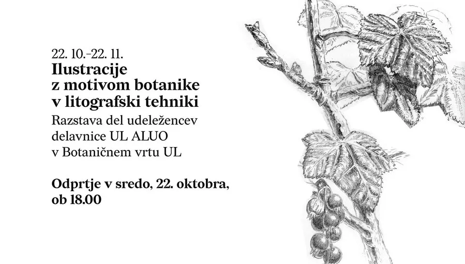 Event cover image