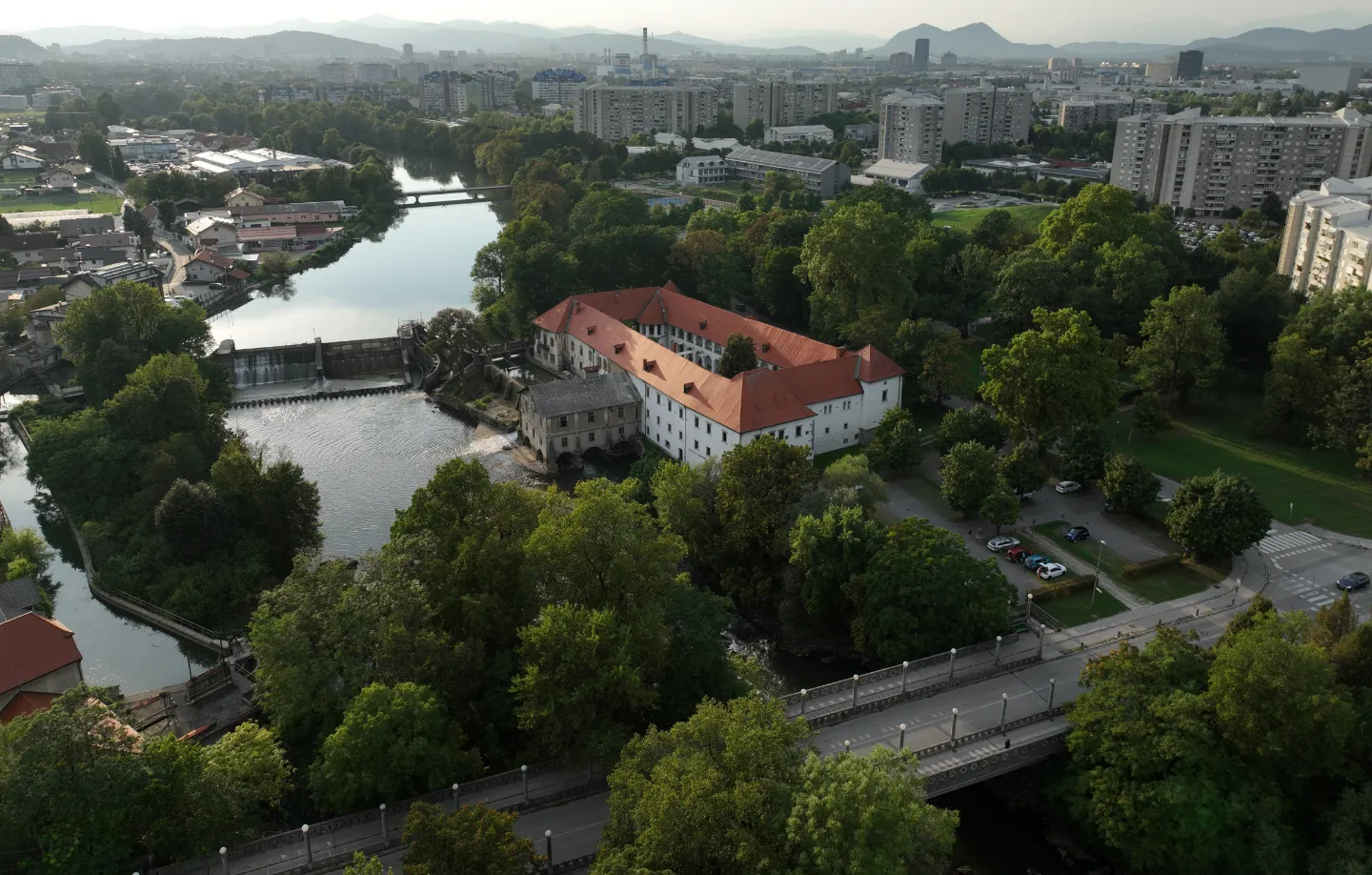 Organizer cover image 