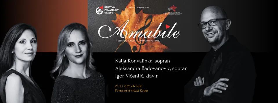 Organizer cover image 