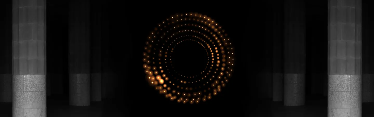 Organizer cover image 