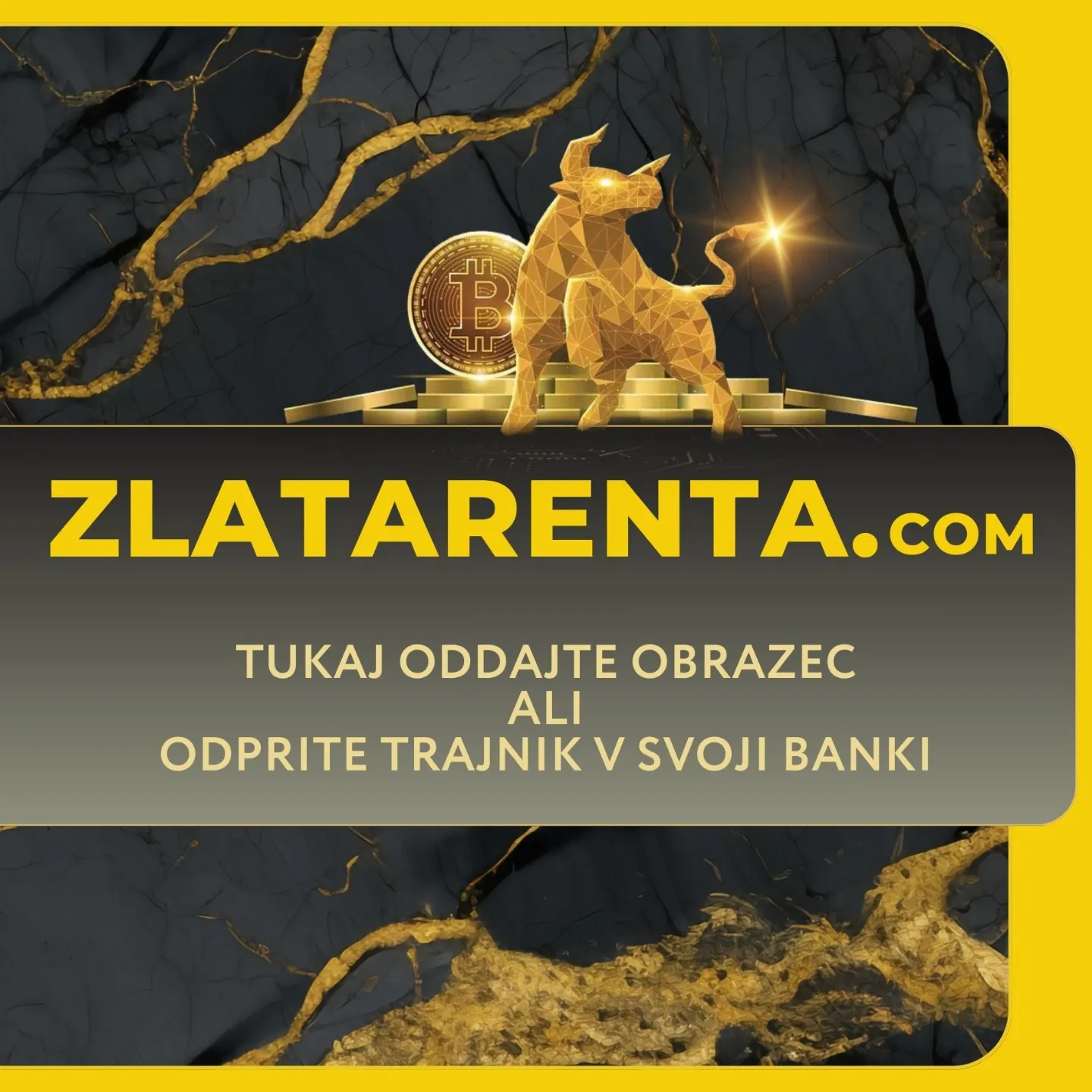 Organizer cover image 