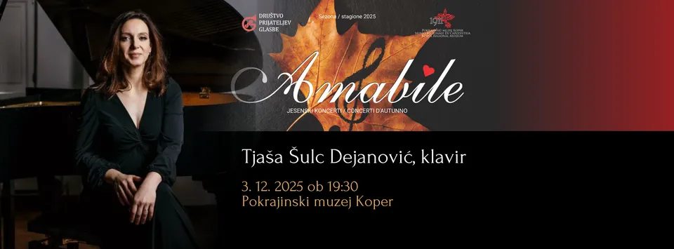 Organizer cover image 