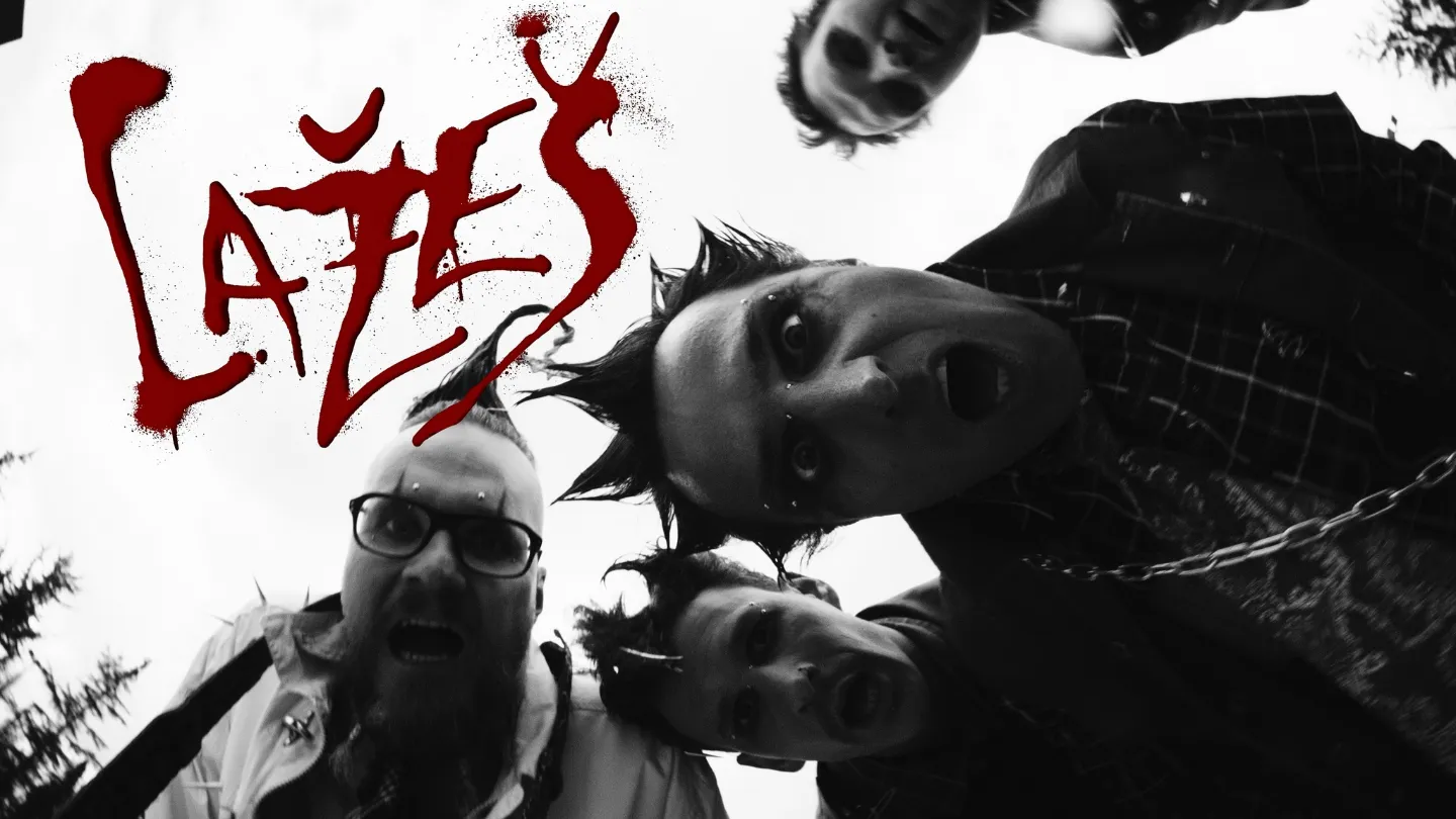 Organizer cover image 