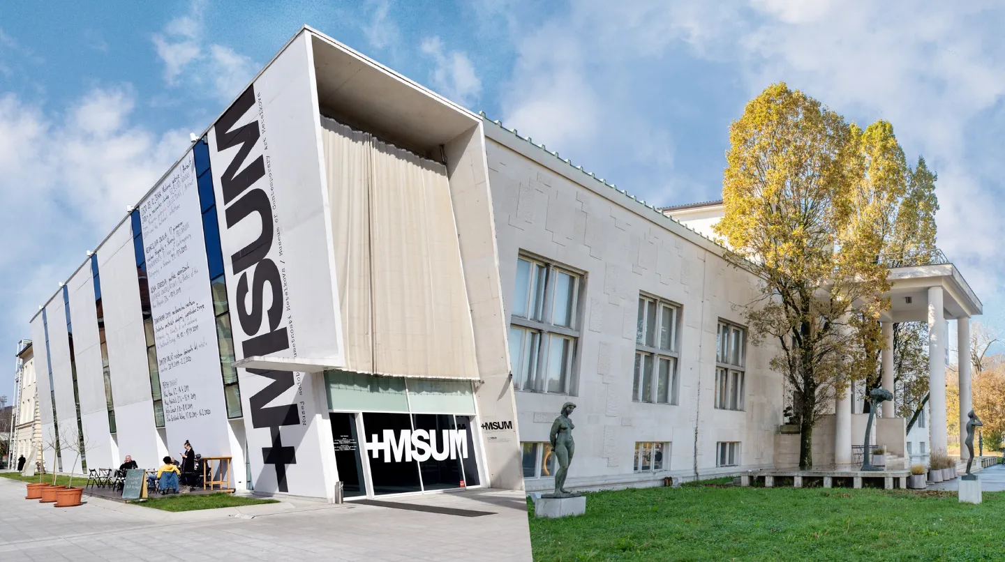 Organizer cover image 