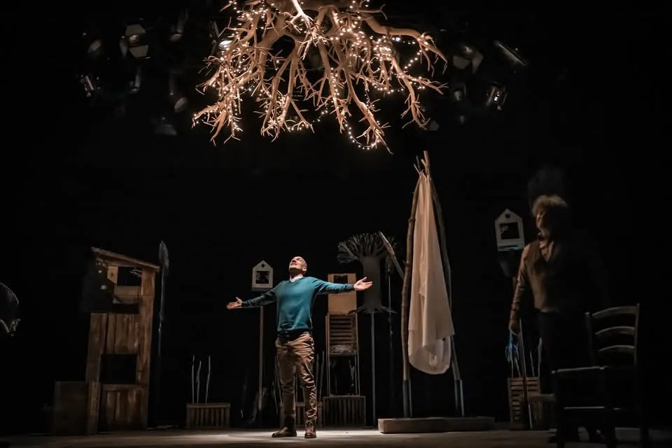 Organizer cover image 