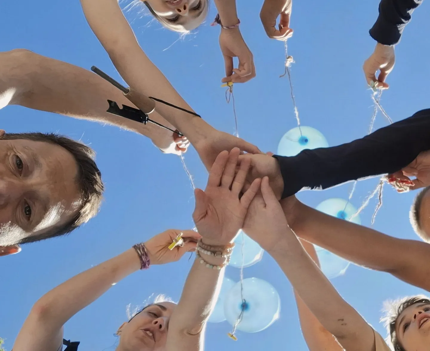 Organizer cover image 