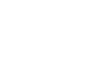 Organizer profile image 