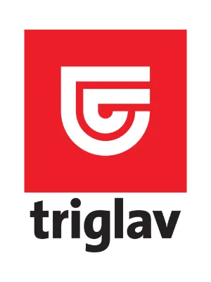 Sponsor image