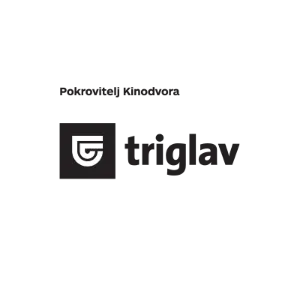 Sponsor image